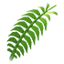 Fern Flower — ภาพรายการจากคลังทางการ Adopt Me