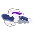 Midnight Dragon Kite — ภาพรายการจากคลังทางการ Adopt Me