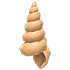 Musical Conch — ภาพรายการจากคลังทางการ Adopt Me