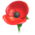 Poppy Flower — ภาพรายการจากคลังทางการ Adopt Me