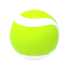 Tennis Ball — ภาพรายการจากคลังทางการ Adopt Me