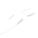 White Snowboard — ภาพรายการจากคลังทางการ Adopt Me