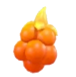 Sparkling Blaze Berry — ผล Sparkling Blaze Berry สีส้มเป็นพวง มีเปลวไฟสีเหลือง