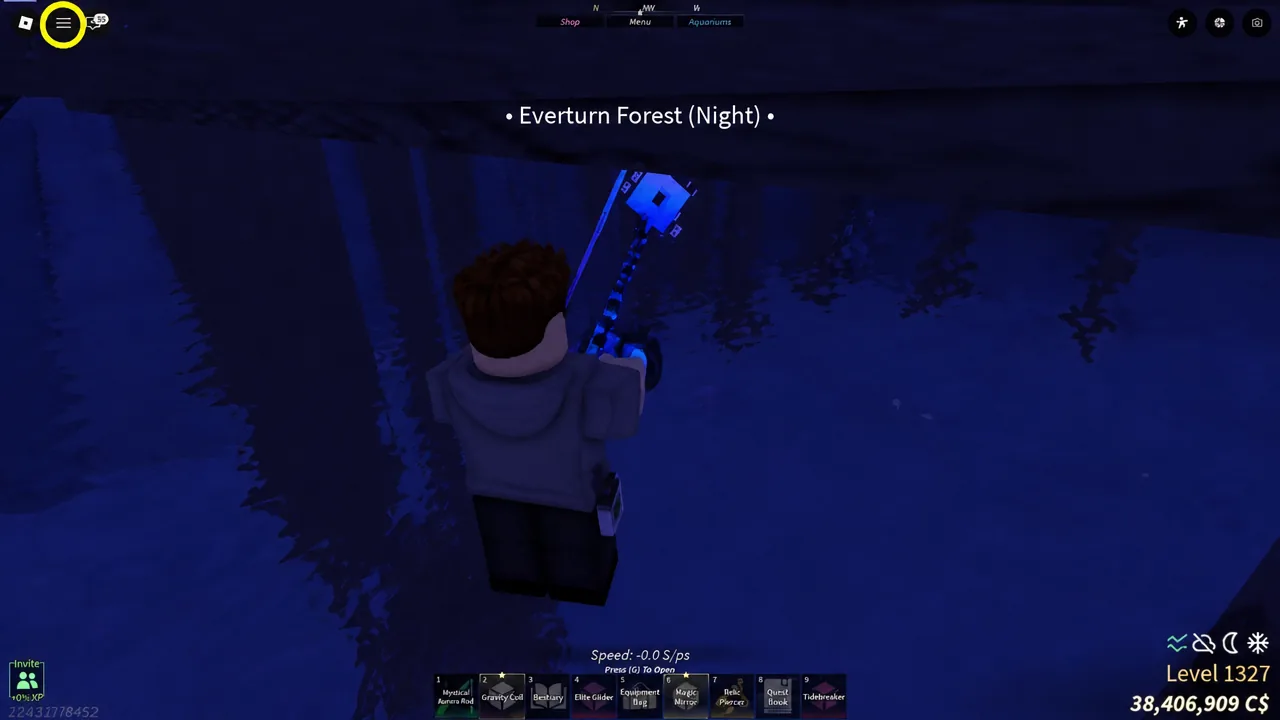ผู้เล่นอยู่บริเวณน้ำตกมืด พร้อมชื่อ Everturn Forest (Night) บนหน้าจอ