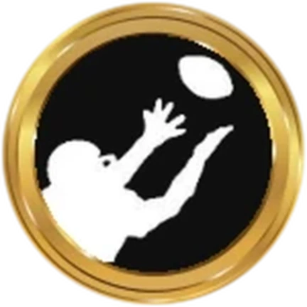 ภาพทางการ Football Fusion 3 จาก XSTNS GAMES/Roblox: Ball Hawk · Badge 948539156851005